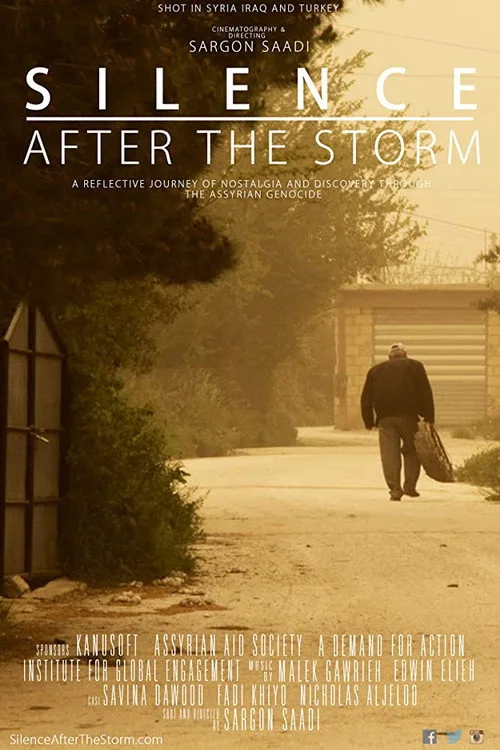 After the Storm