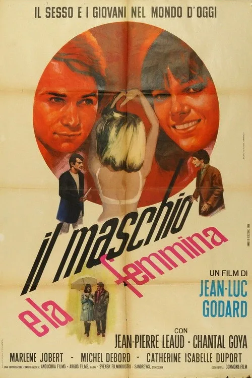Masculin Féminin